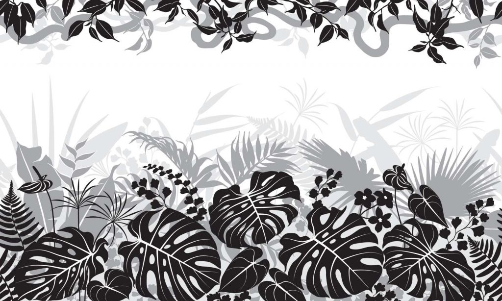 Bladeren silhouet in zwart-wit