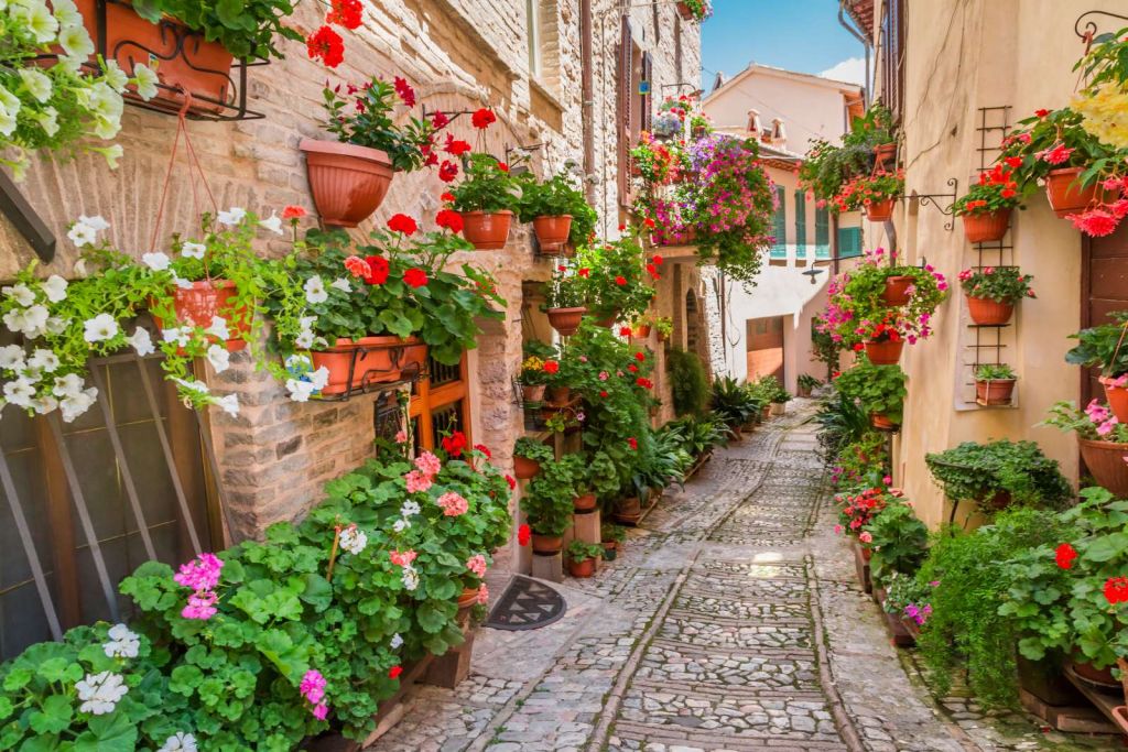 Gezellig straatje met bloemen in Italië