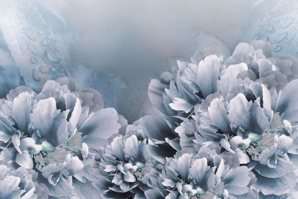 Lichtkleurige bloemen met een blauwe achtergrond