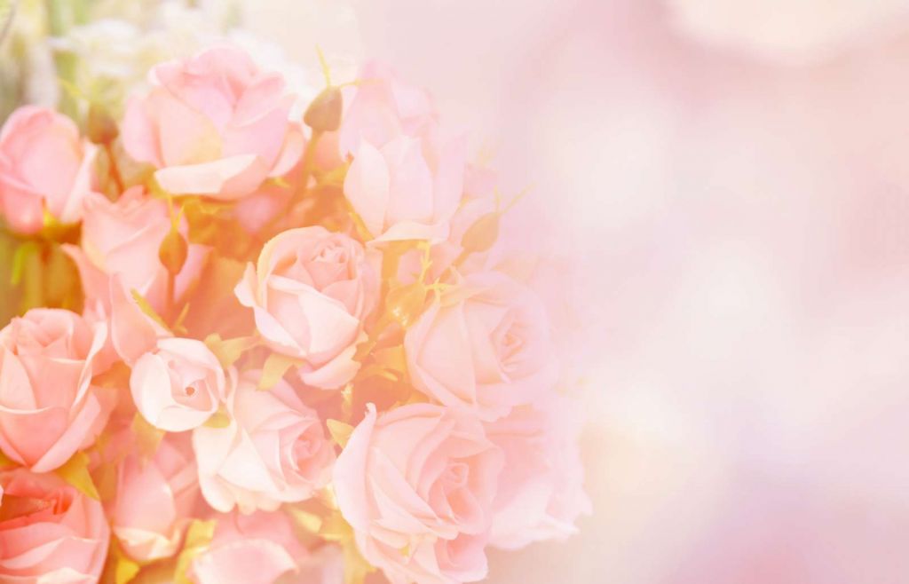 Roze rozen boeket met een wazige achtergrond
