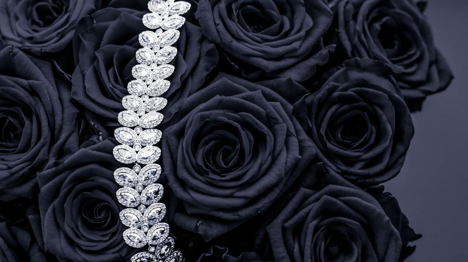 Vernietigen gebruiker delen Donkere rozen met een diamanten ketting erop fotobehang - Fotobehang.nl